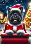 Cairn Terrier Black - Best of Breed DCR Christmas Outdoor House and Garden Flag