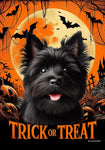 Cairn Terrier Black - Best of Breed  Halloween Outdoor House and Garden Flag