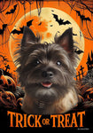 Cairn Terrier Brindle - Best of Breed  Halloween Outdoor House and Garden Flag