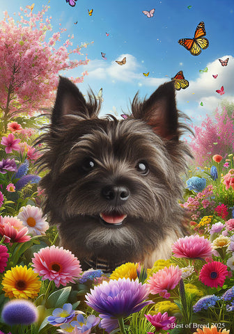 Cairn Terrier Brindle - Best of Breed  Spring Butterflies Outdoor House and Garden Flag