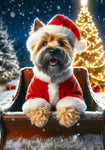 Cairn Terrier Wheat - Best of Breed DCR Christmas Outdoor House and Garden Flag