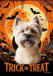 Cairn Terrier  Wheat - Best of Breed  Halloween Outdoor House and Garden Flag