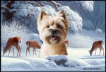 Cairn Terrier  Wheat - Best of Breed Winter Wonderland Floor Mat Tufted Loop 18" x 27"