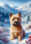 Cairn Terrier Wheat - Best of Breed DCR Winter Berries Outdoor House and Garden Flag