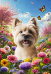 Cairn Terrier  Wheat - Best of Breed  Spring Butterflies Outdoor House and Garden Flag