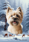 Cairn Terrier  Wheat - Best of Breed  Winter Wonderland Outdoor House and Garden Flag