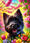 Cairn Terrier Black - Best of Breed DCR Spring II    Outdoor House and Garden Flag