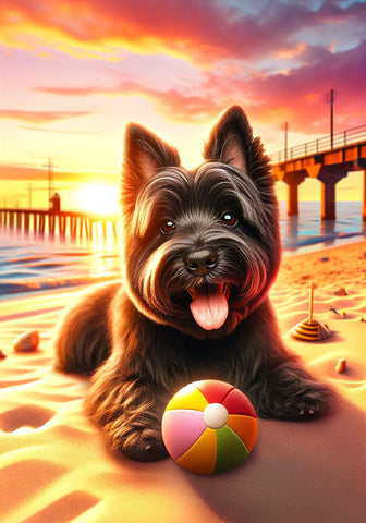 Cairn Terrier Black - Best of Breed DCR Summer Sunset Outdoor House and Garden Flag