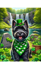 Cairn Terrier Black - Best of Breed DCR Saint Patricks Day Day Outdoor House and Garden Flag