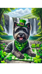 Cairn Terrier Grey - Best of Breed DCR Saint Patricks Day Day Outdoor House and Garden Flag