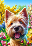 Cairn Terrier Wheat - Best of Breed DCR Spring II    Outdoor House and Garden Flag