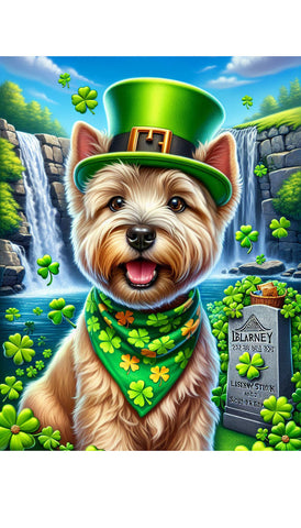 Cairn Terrier Wheat - Best of Breed DCR Saint Patricks Day Day Outdoor House and Garden Flag