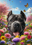 Cane Corso Black Cropped - Best of Breed  Spring Butterflies Outdoor House and Garden Flag