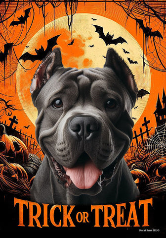 Cane Corso Black Cropped - Best of Breed  Halloween Outdoor House and Garden Flag