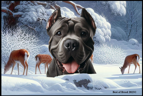 Cane Corso Black - Best of Breed Winter Wonderland Floor Mat Tufted Loop 18" x 27"