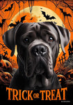 Cane Corso Black Uncropped - Best of Breed  Halloween Outdoor House and Garden Flag