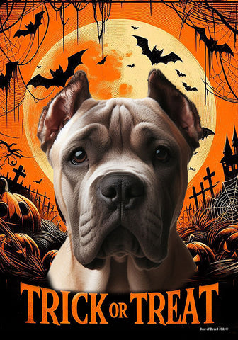 Cane Corso Fawn Cropped - Best of Breed  Halloween Outdoor House and Garden Flag