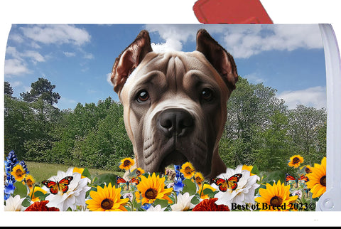 Cane Corso Fawn - Best of Breed Summer Flowers Mailbox Cover Hi-Grade Vinyl 6" x 19"