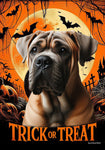 Cane Corso Fawn  Uncropped - Best of Breed  Halloween Outdoor House and Garden Flag