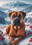 Cane Corso Fawn - Best of Breed DCR Winter Berries Outdoor House and Garden Flag