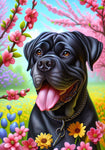 Cane Carso Black - Best of Breed DCR Spring II    Outdoor House and Garden Flag