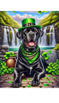 Cane Carso Black - Best of Breed DCR Saint Patricks Day Day Outdoor House and Garden Flag