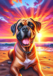 Cane Corso Fawn - Best of Breed DCR Summer Sunset Outdoor House and Garden Flag