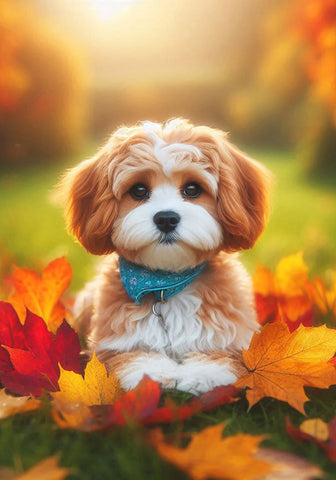 Cavachon - Best of Breed DCR Falling Leaves Outdoor Flag