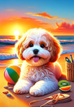 Cavachon - Best of Breed DCR Summer Sunset Outdoor House and Garden Flag