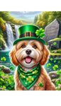 Cavachon - Best of Breed DCR Saint Patricks Day Day Outdoor House and Garden Flag