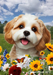 Cavachon- Best of Breed  Summer Fields Outdoor House and Garden Flag