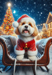 Cavachon - Best of Breed DCR Christmas Outdoor House and Garden Flag