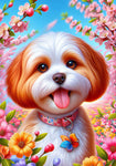Cavachon - Best of Breed DCR Spring II    Outdoor House and Garden Flag