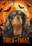 Cavalier King Charles Black/Tan - Best of Breed  Halloween Outdoor House and Garden Flag