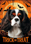 Cavalier King Charles Tri - Best of Breed  Halloween Outdoor House and Garden Flag