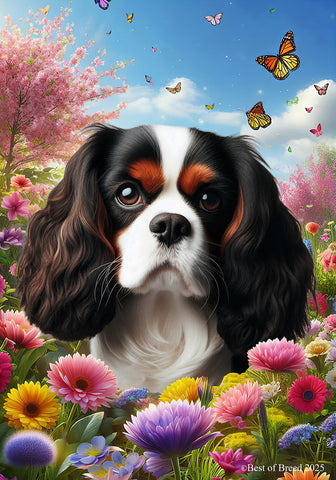 Cavalier King Charles Tri - Best of Breed  Spring Butterflies Outdoor House and Garden Flag