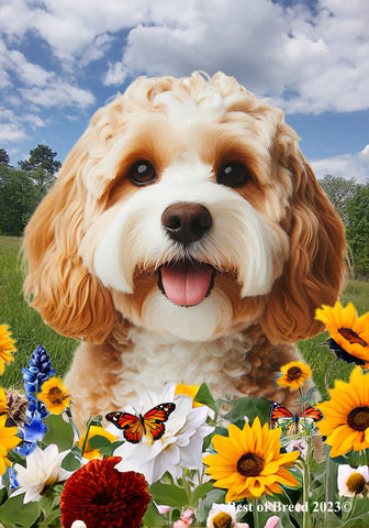 Cavapoo Blonde - Best of Breed  Summer Fields Outdoor House and Garden Flag