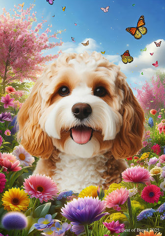 Cavapoo Blonde - Best of Breed  Spring Butterflies Outdoor House and Garden Flag