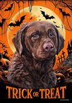 Chesapeake Bay Retriever - Best of Breed  Halloween Outdoor House and Garden Flag