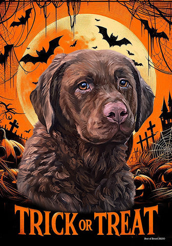 Chesapeake Bay Retriever - Best of Breed  Halloween Outdoor House and Garden Flag