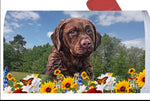 Chesapeake Bay Retriever - Best of Breed Summer Flowers Mailbox Cover Hi-Grade Vinyl 6" x 19"