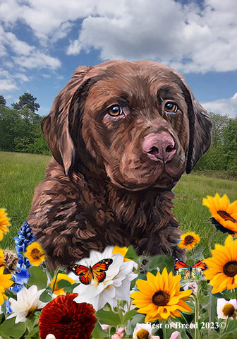 Chesapeake Bay Retriever - Best of Breed  Summer Fields Outdoor House and Garden Flag