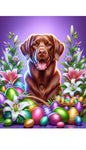 Chesapeake Bay Retriever - Best of Breed DCR Easter Holiday    Outdoor House and Garden Flag