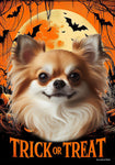 Chihuahua Fawn Longhaired - Best of Breed  Halloween Outdoor House and Garden Flag