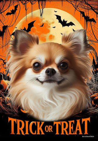 Chihuahua Fawn Longhaired - Best of Breed  Halloween Outdoor House and Garden Flag