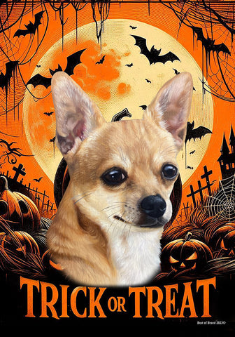 Chihuahua Tan Smooth -  Best of Breed  Halloween Outdoor House and Garden Flag