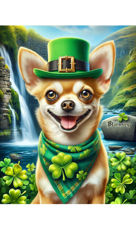 Chihuahua Tan Smooth - Best of Breed DCR Saint Patricks Day Day Outdoor House and Garden Flag