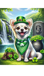 Chihuahua White - Best of Breed DCR Saint Patricks Day Day Outdoor House and Garden Flag