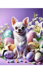 Chihuahua White - Best of Breed DCR Easter Holiday    Outdoor House and Garden Flag