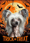 Chinese Crested - Best of Breed  Halloween Outdoor House and Garden Flag